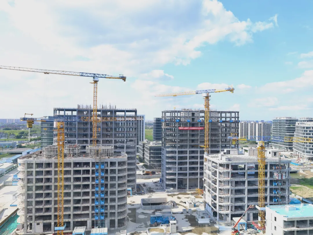 同心同向 造炬成阳 | 尊龙时凯2024年第三季度动态速览